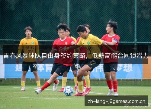 青春风暴球队自由身签约策略,低薪高能合同锁潜力 青春风暴球队自由身签约策略,低薪高能合同锁潜力